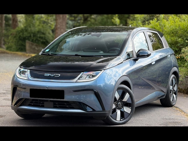 2024 BYD DOLPHIN Design